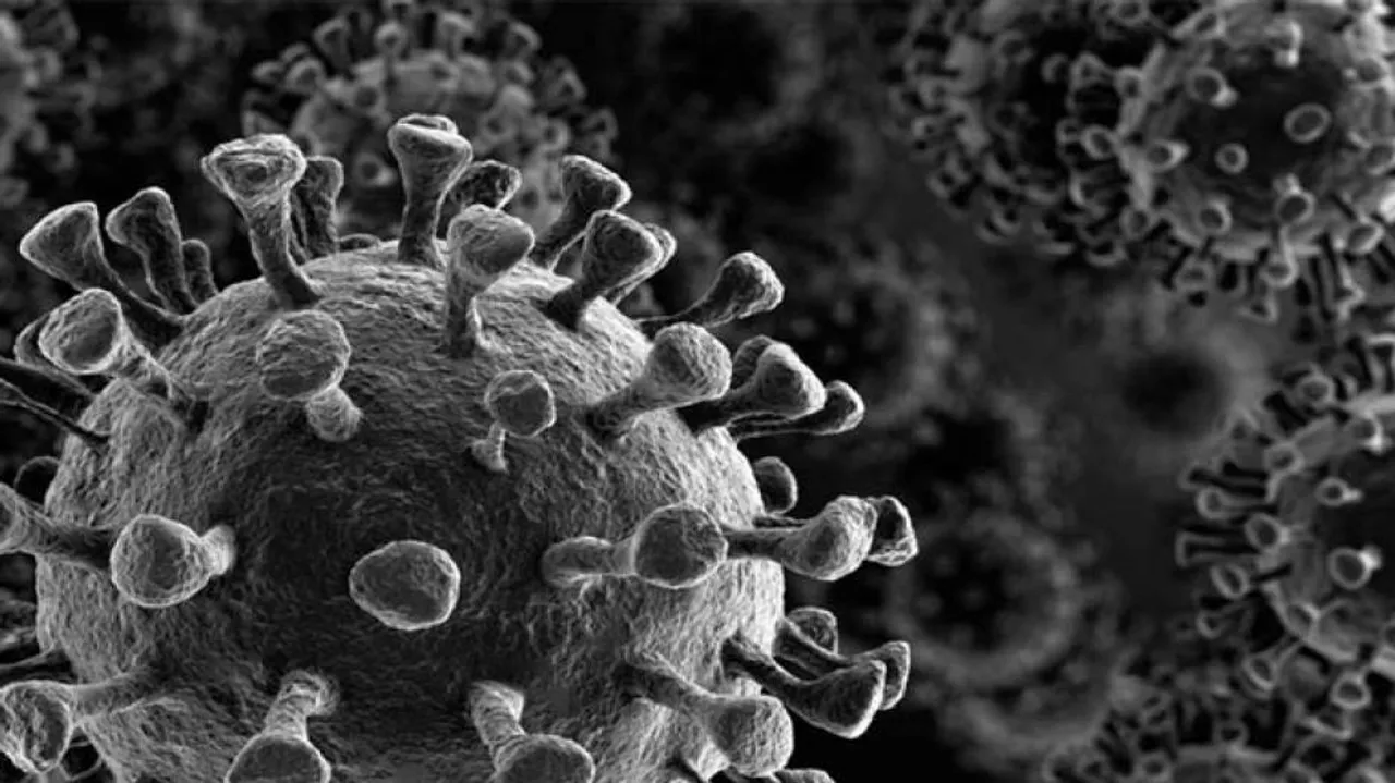 Coronavirus Live Updates: Odisha's COVID-19 Tally Reaches 978, 5 Deaths So Far