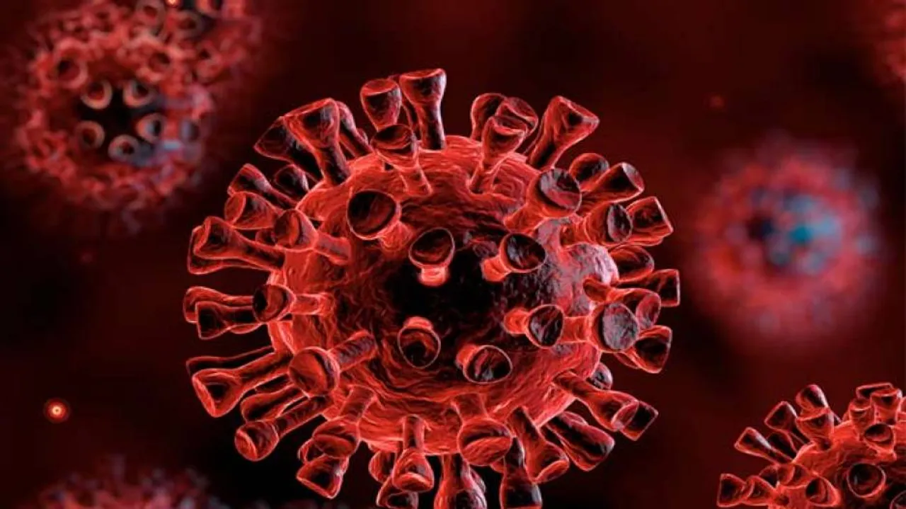 Despite COVID-19 Lockdown, India's Coronavirus Deaths, Positive Cases Continue To Rise