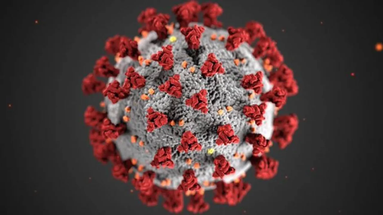 Global Covid-19 Cases Cross 61.5 Million, Deaths Surge To 1441875