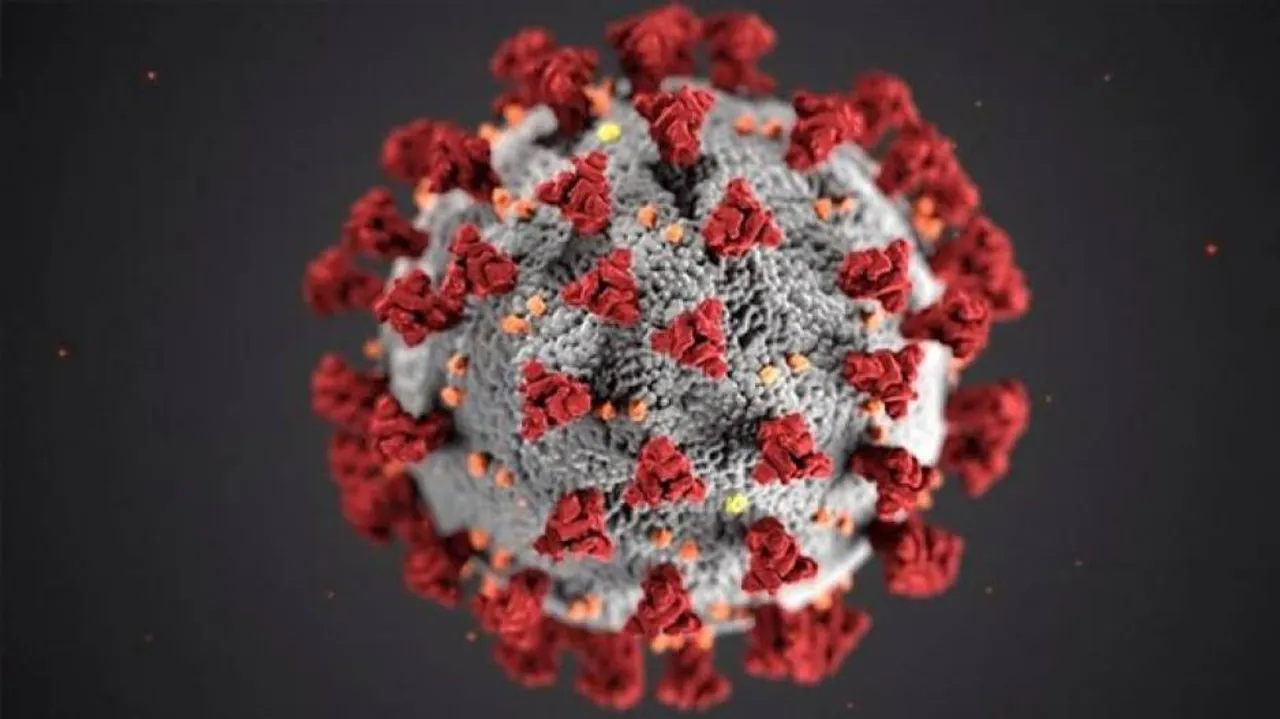 University of Pittsburgh reports successful COVID-19 vaccine trial
