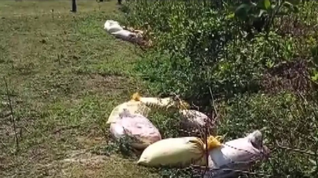 41 Crude Bombs Recovered From Bengal's South 24 Parganas