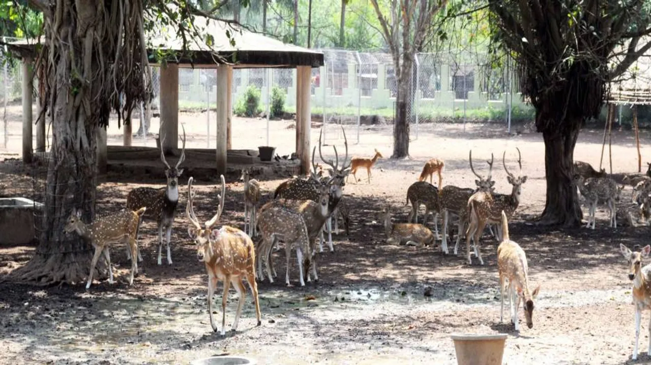 CZA official express concern over overcrowding at Cuttack deer park
