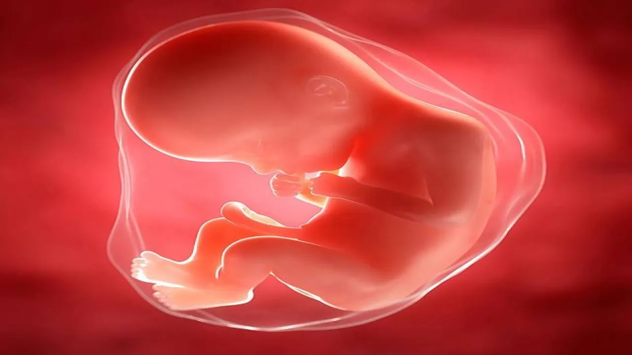 World's first baby born using DNA of three people