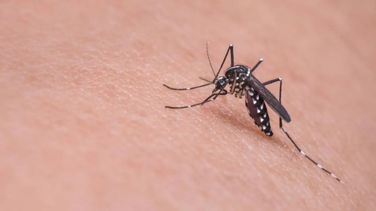 Dengue death toll at SCB hospital rises to 4