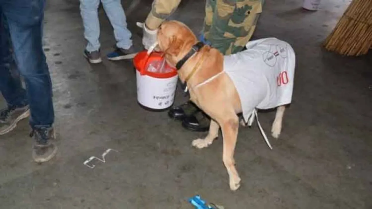 BSF dog squad participates in 'Swachh Bharat Abhiyan'