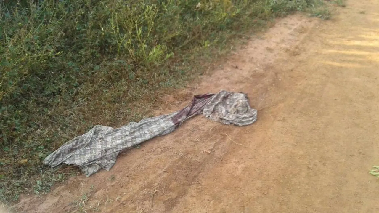 Beer factory security guard crushed to death by elephant