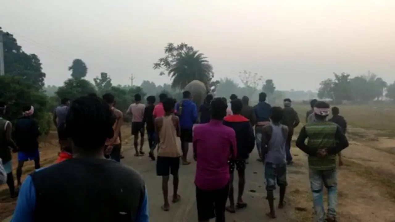 Teasing Elephants Proves Fatal; 2 Persons Trampled To Death In Ganjam