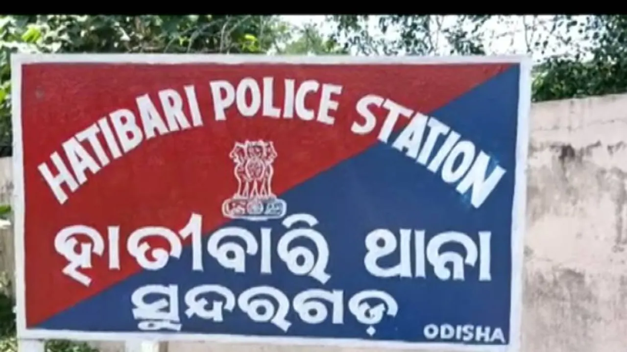 Odisha: Toddler Trampled To Death By Elephant in Sundargarh, Mother Serious