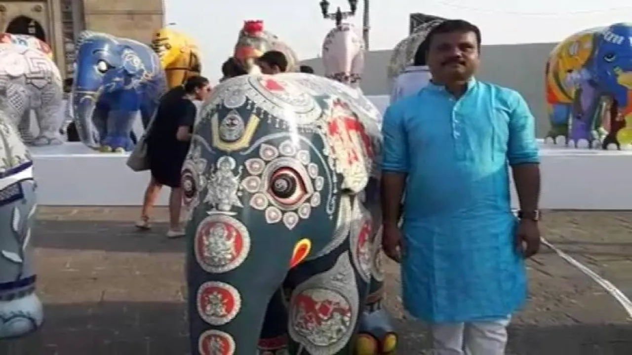Odisha's Pattachitra wins hearts at Elephant Parade India
