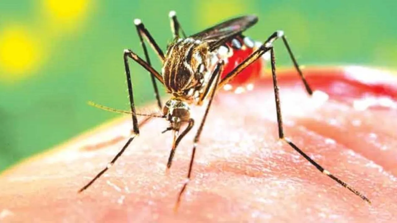 34,000 suffering from dengue in Sri Lanka