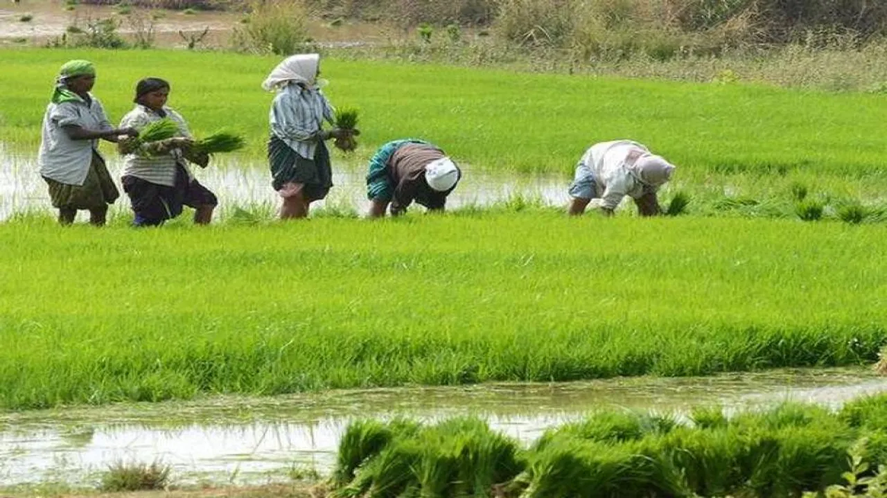 Odisha govt prepares guidelines for Kalia scheme