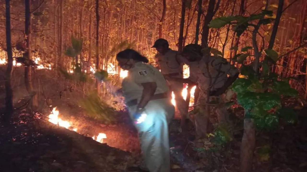 Odisha Forest Fire: State Govt Deploys Extra Manpower, Machines; Night Patrolling Intensified