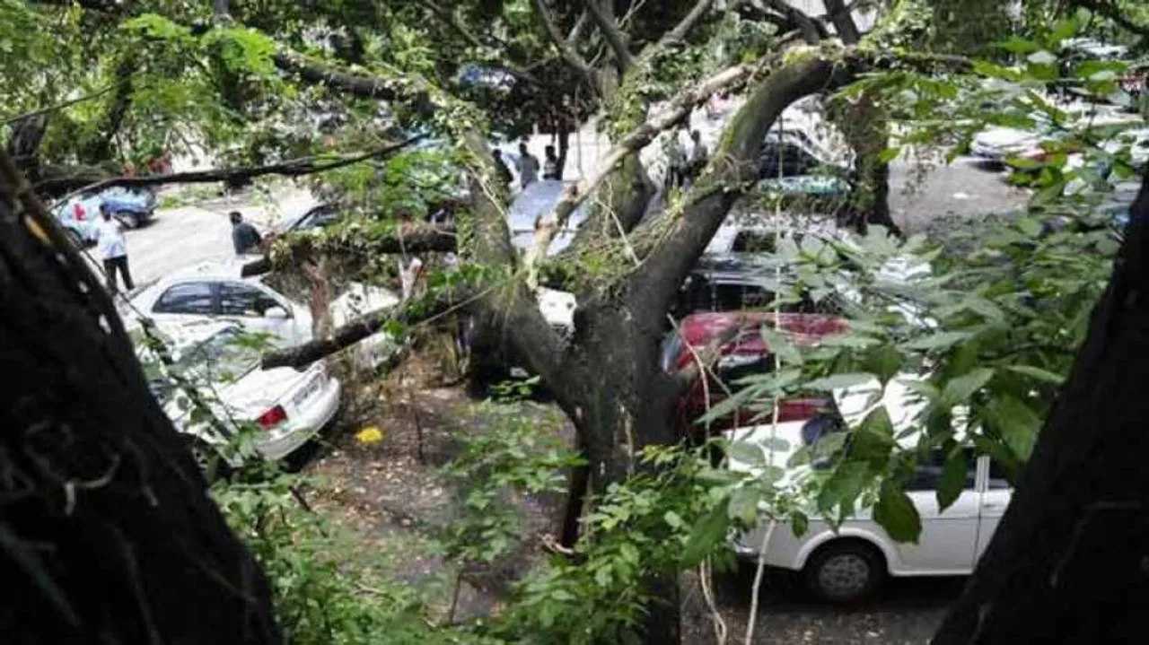 Fani: Rain lashes Tripura, houses damaged, trees uprooted