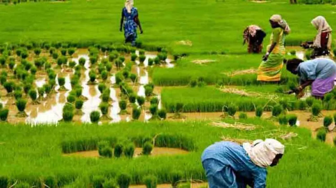 Budget may hike farm funds by 30%, raise subsidy: Sources