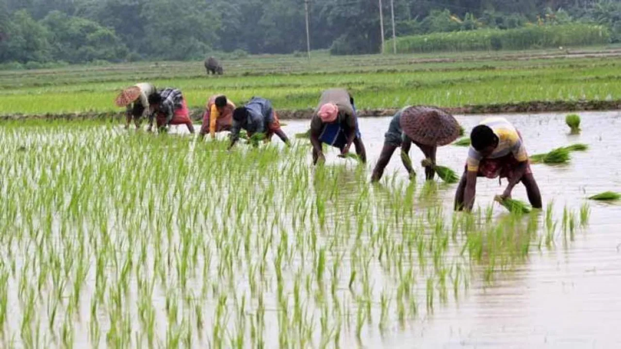 Op-Ed: Farmers’ Issues Take A Back Seat