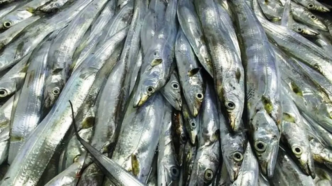 Toxic Fish: Odisha Food Safety Commission seeks samples from all districts