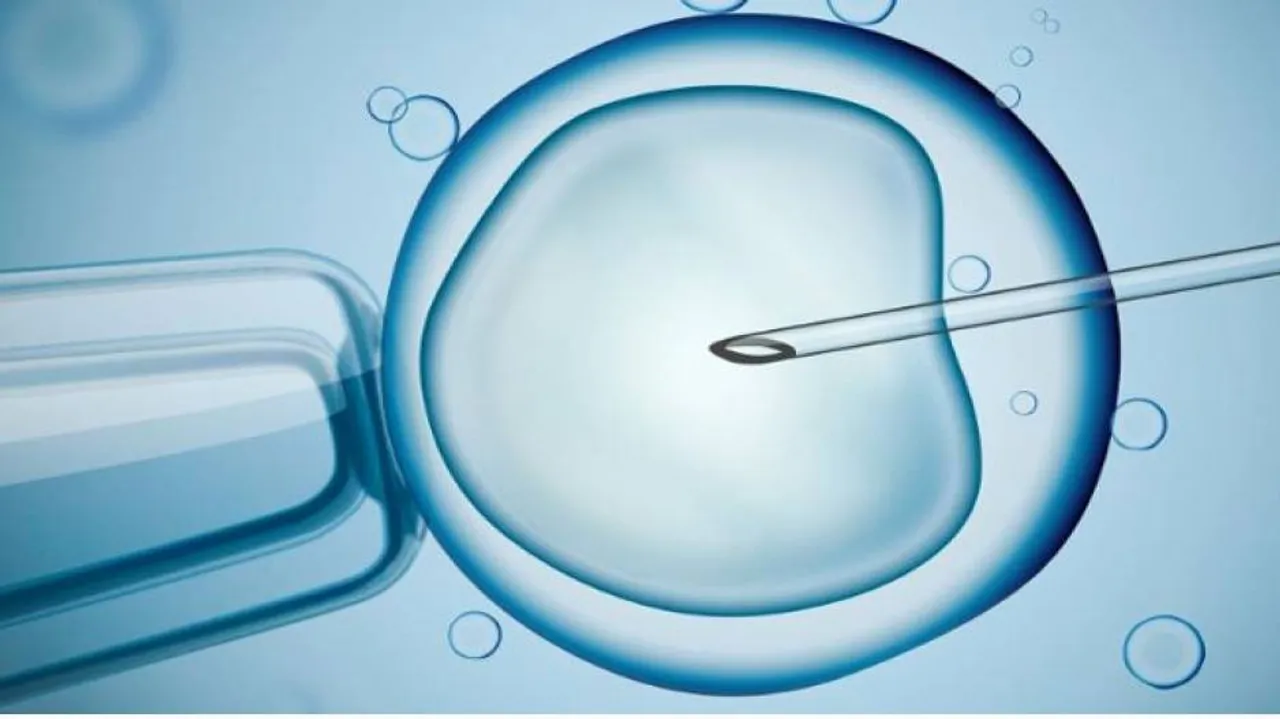 Researchers Find New Sex Hormone For Better Fertility Treatments