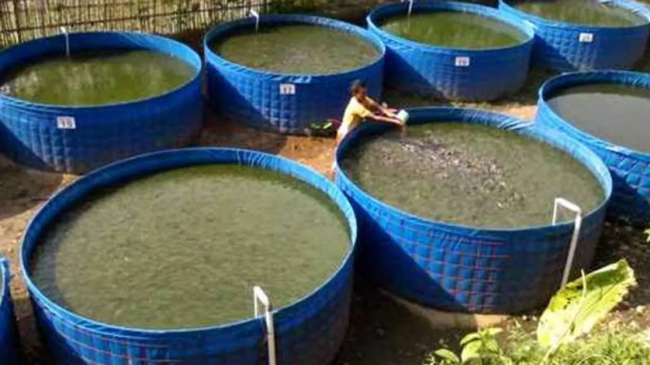 Odisha Introduces New Scheme To Boost Biofloc Fish Farming Technology