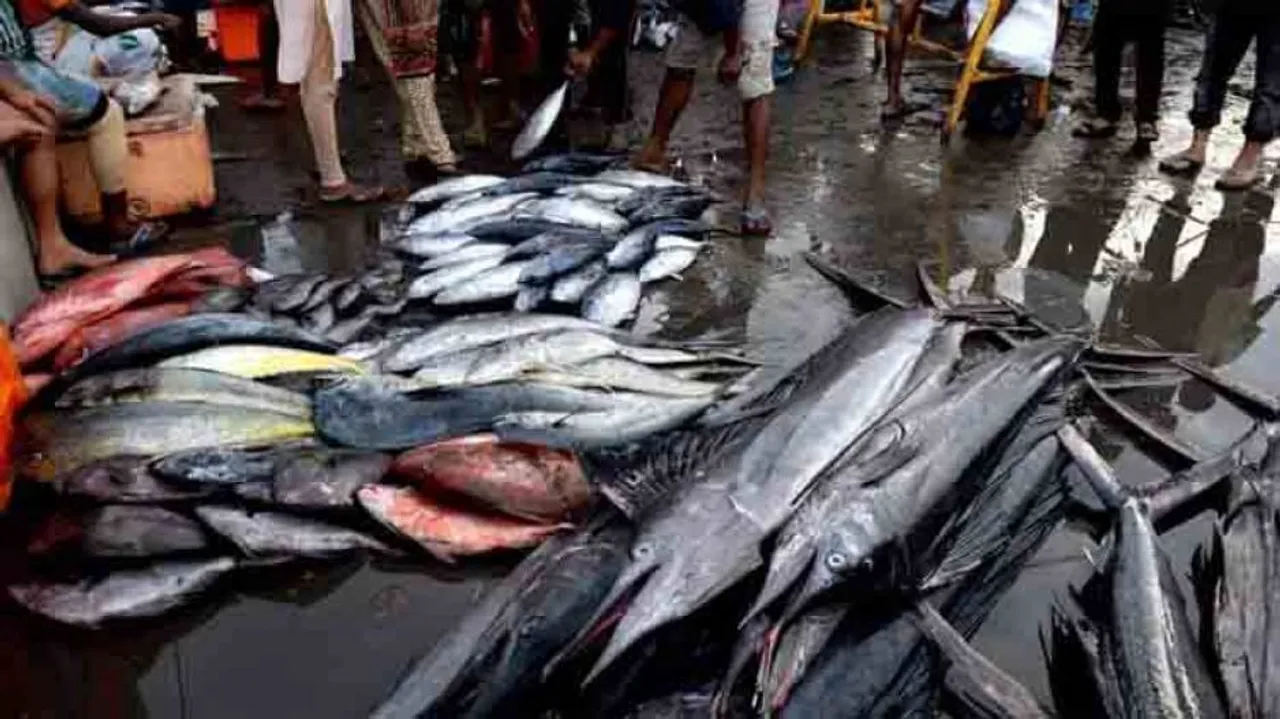 Eating formalin-laced fish does not cause cancer: Goa Cancer Society
