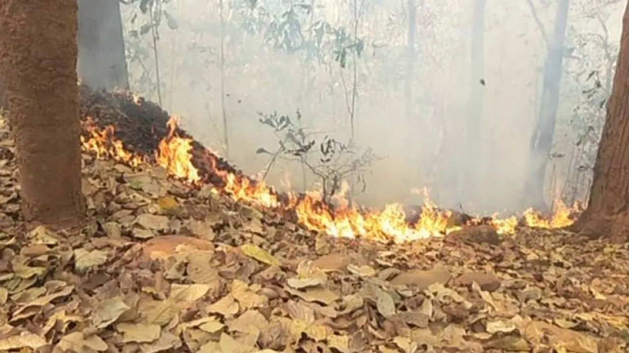 Sambalpur DFO Warns Immediate Arrest Of Forest Fire Setters