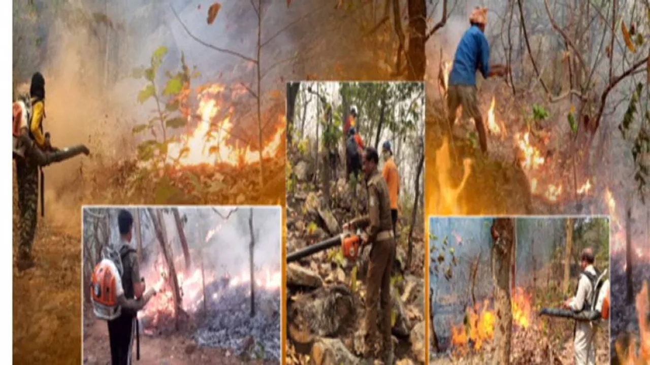 Forest Fires In Odisha Double Up In 24 Hours, Similipal Under Control