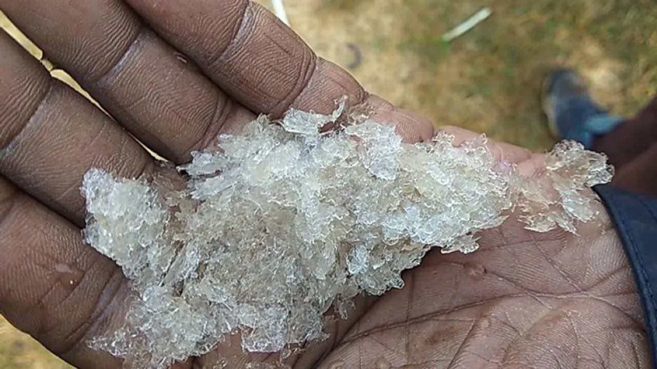 Night Temperatures Dip, Odisha Experiences Chilly Winter Mornings (SEE PICS)