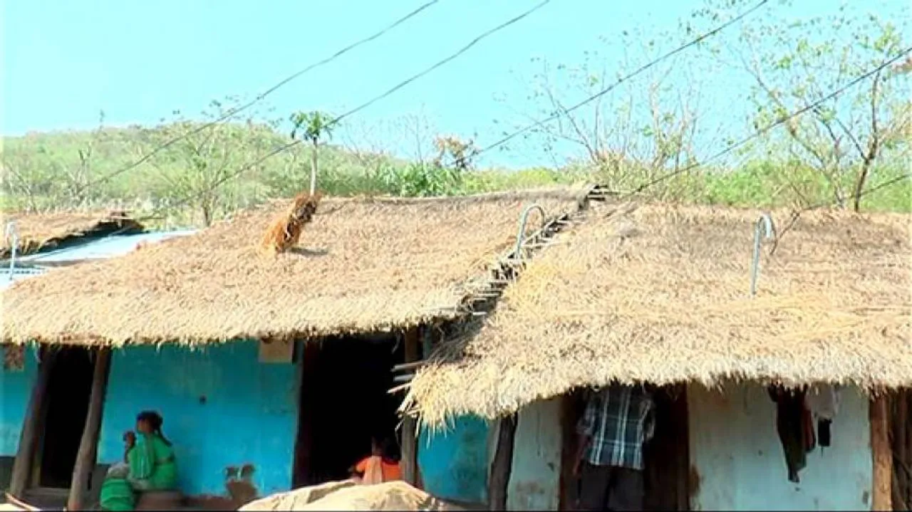 Odisha out to stamp authority in border villages eyed by AP