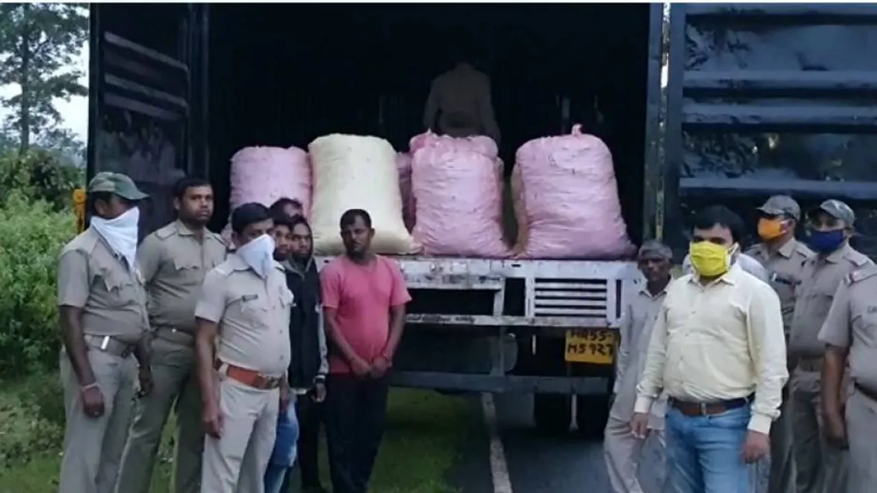 Odisha: Over 600 Kg Ganja Seized, 6 Arrested