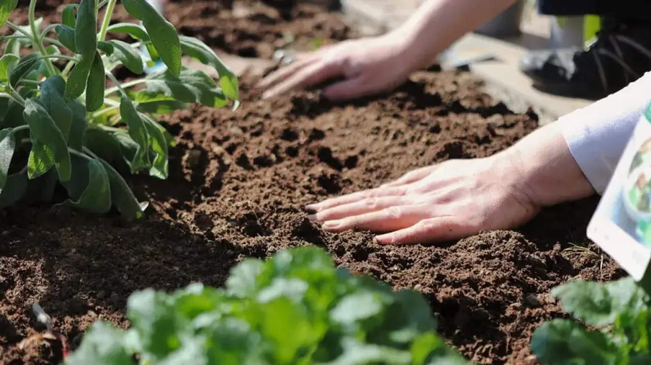 Gardening