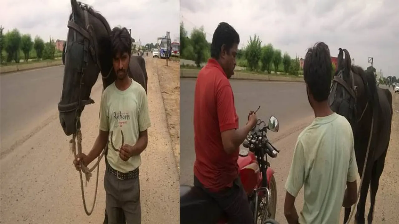 Passion, not profession, draws these UP horsemen to Odisha