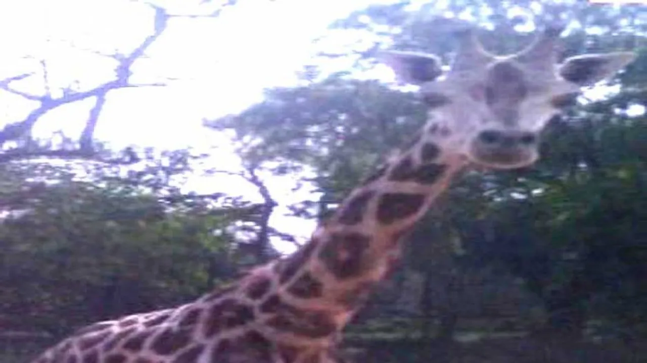 ‘Joy’ of ‘Khusi’ no more