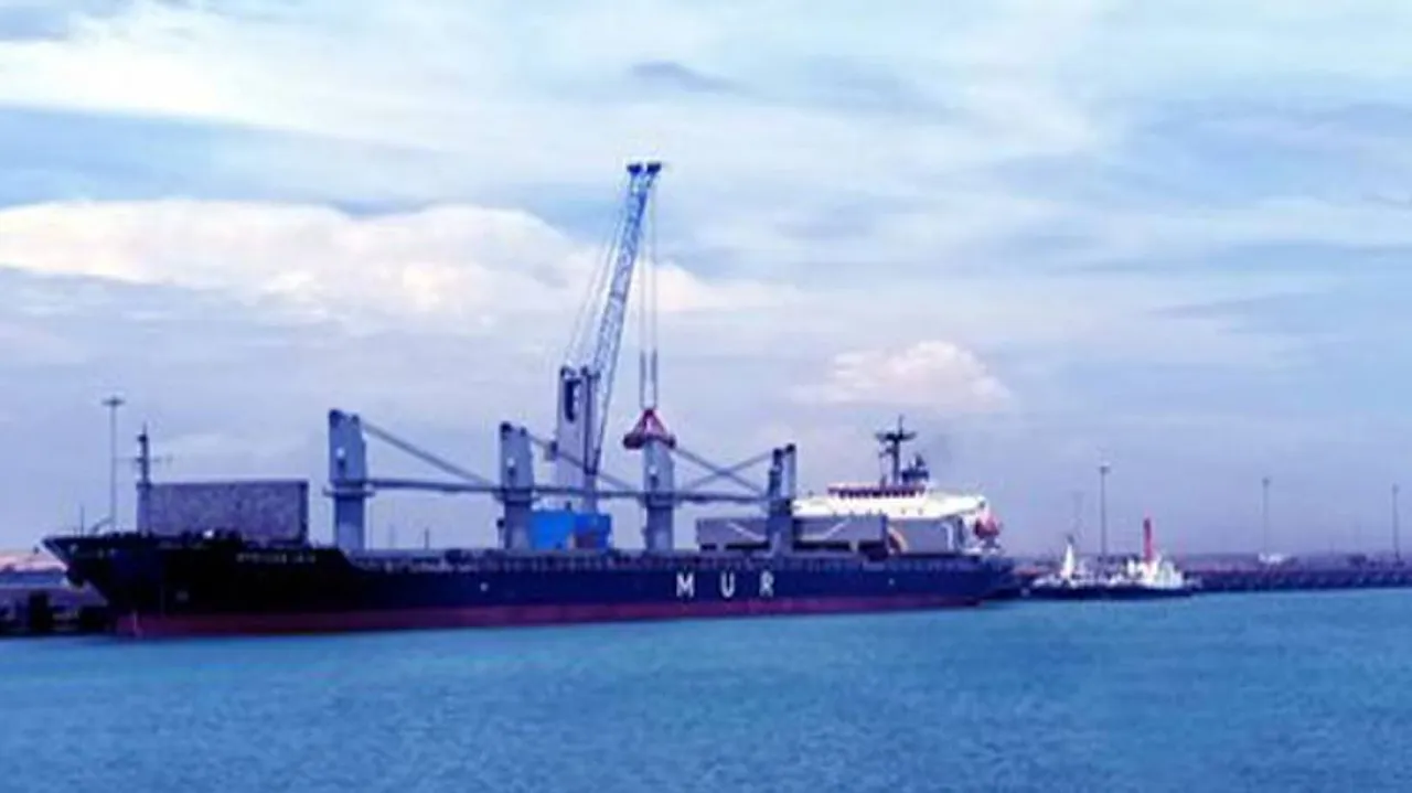Gopalpur Port Limited Plans To Set Up Petrochemical Industries, LNG Terminal In Odisha