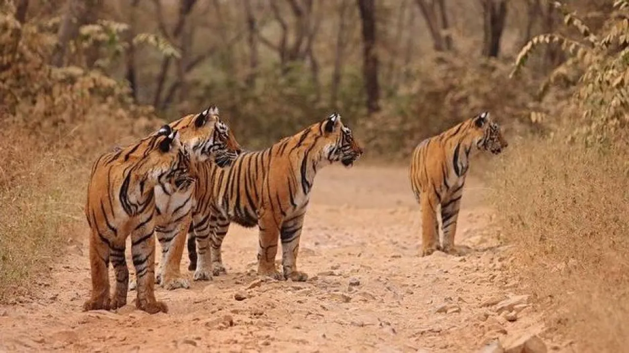 Government launches wildlife action plan for next 15 years