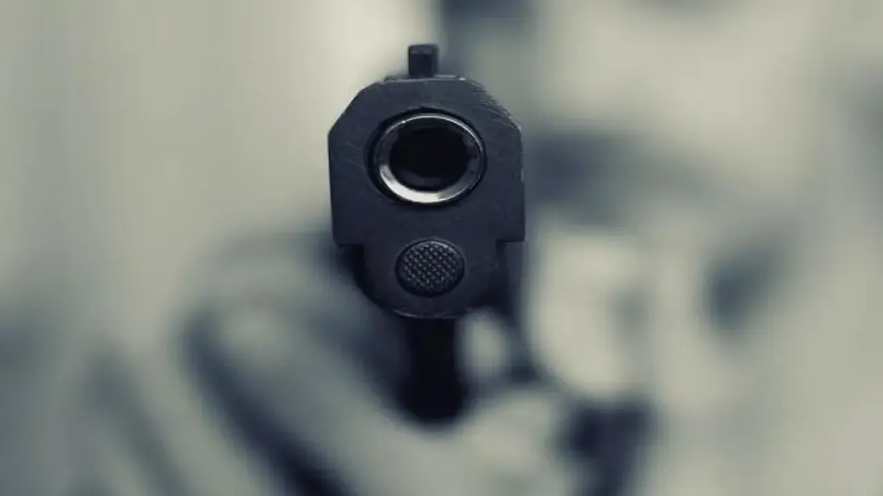 Gun