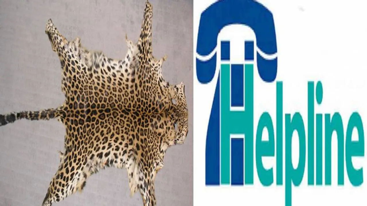 Rise In Wildlife Crimes In Odisha: Crime Branch STF Starts Helpline