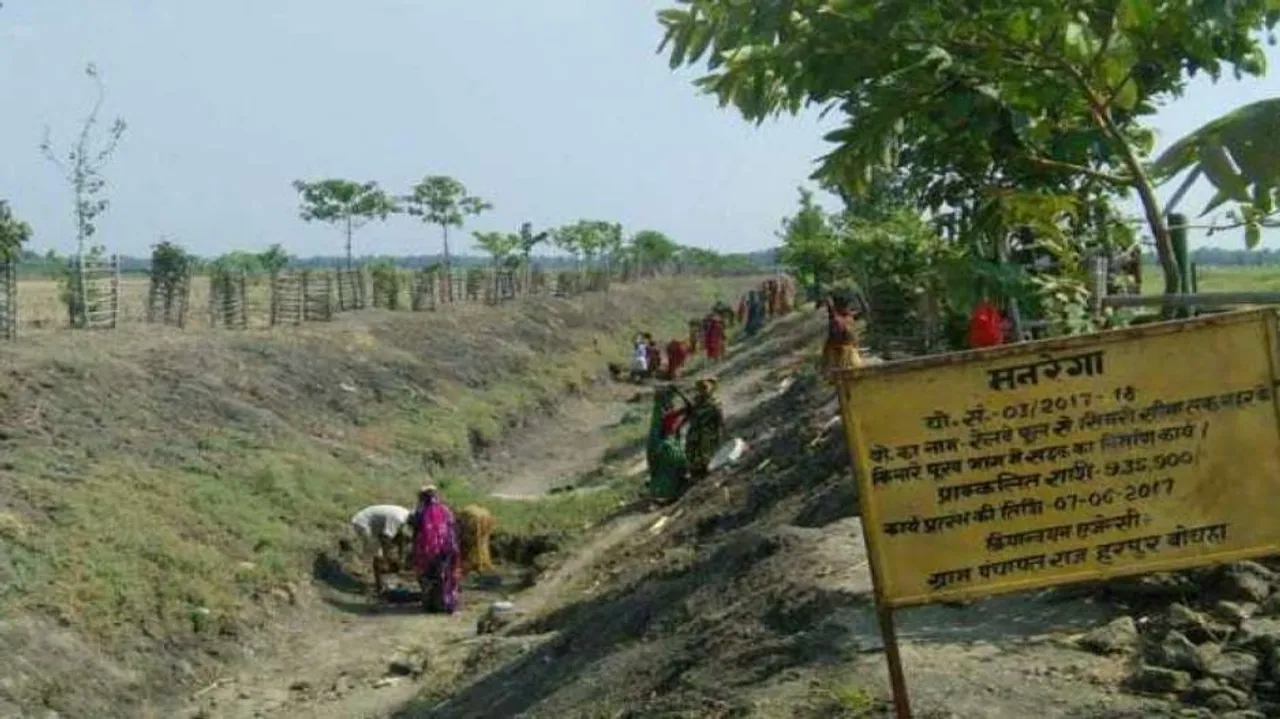 Bihar village that transformed wasteland into oasis