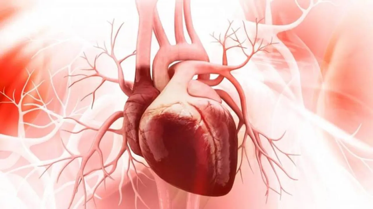 Minor Heart Defects Linked To Long-Term Problems In Adulthood