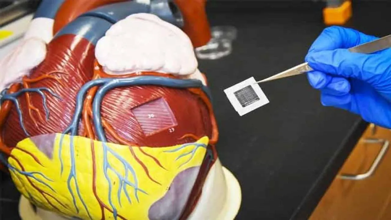 This human heart-muscle patch can boost heart attack recovery