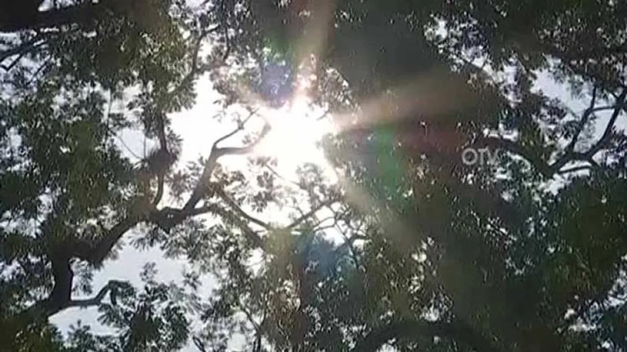 Odisha: No Respite From Heat, Titilagarh Sizzles At 42.2 Degree Celsius