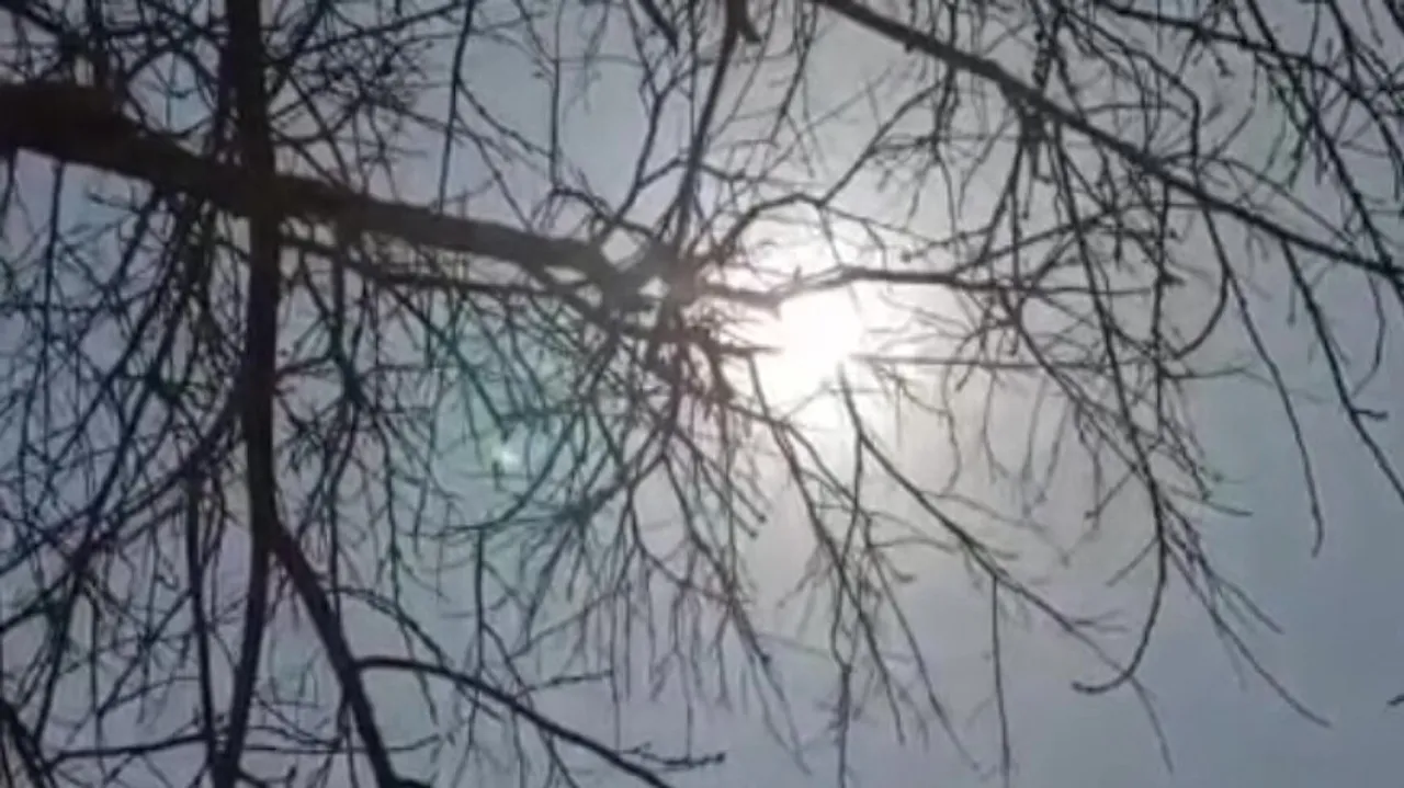Odisha to experience rise in temperature, no possibility of thunderstorm