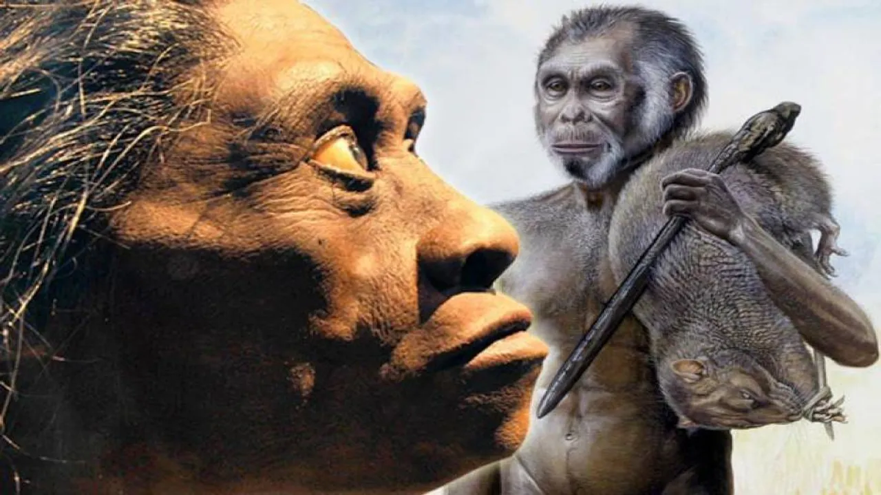 Indonesian hobbits not related to modern human ancestor: Study