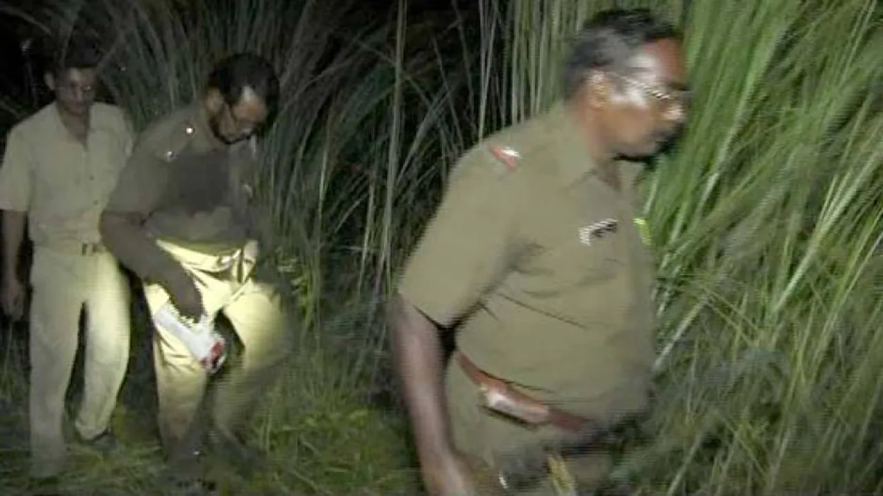 Hyena scare on outskirts of Bhubaneswar