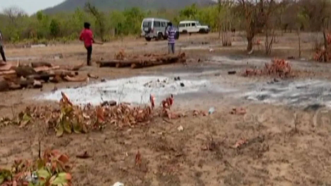 'Admin Apathy': Dogs Feast On Half-Burnt Bodies Of Covid-19 Victims In Bolangir