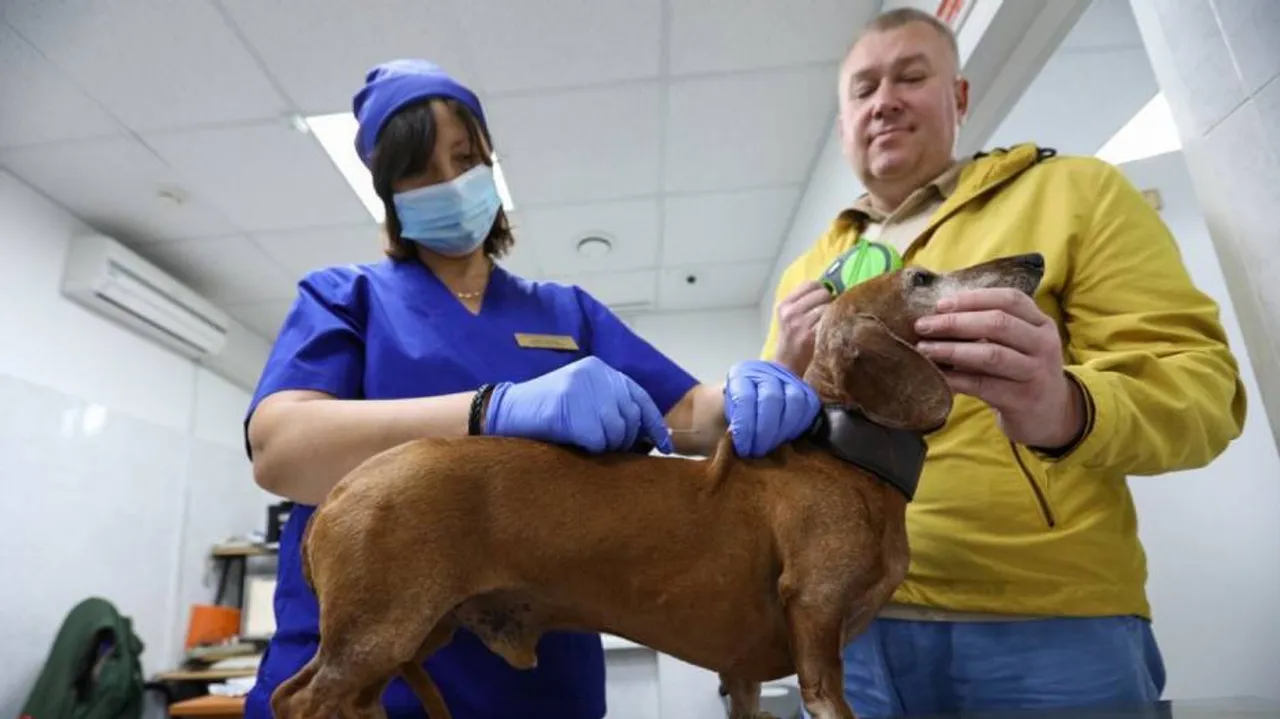 Russia Starts Vaccinating Animals Against COVID-19