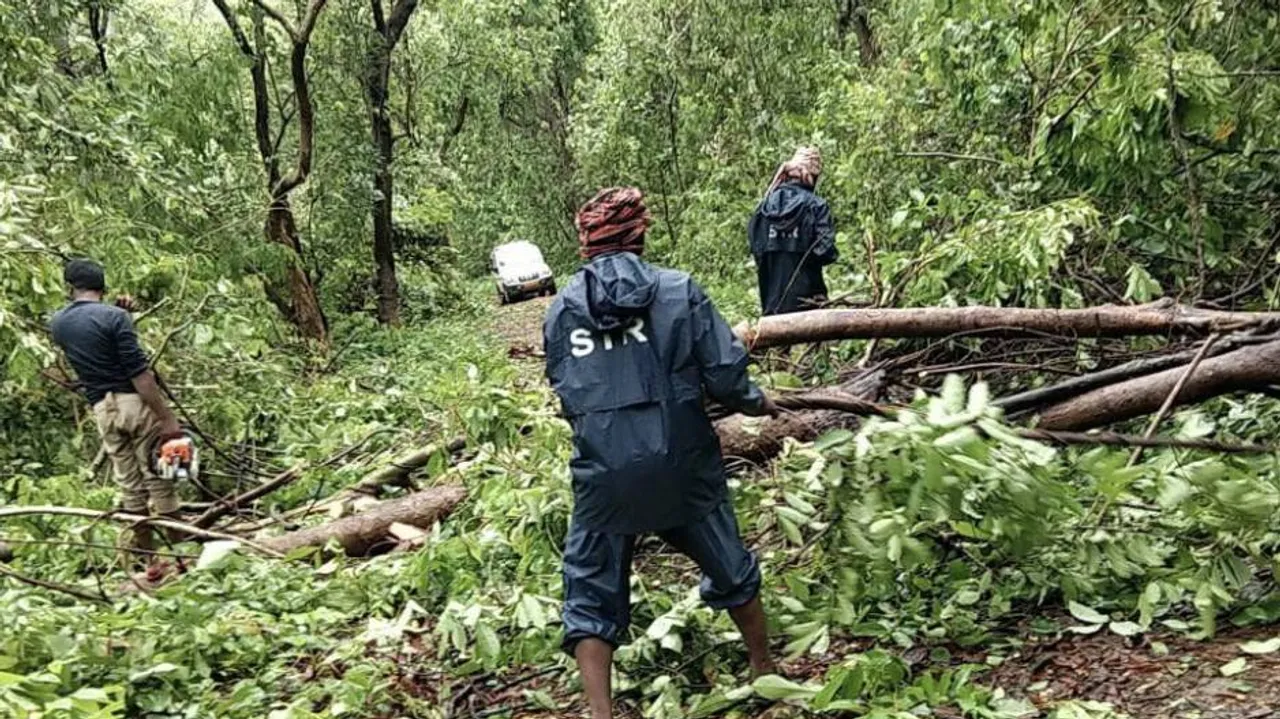 Cyclone Yaas Aftermath: Rain-Ravaged Similipal Fast Returning To Normalcy