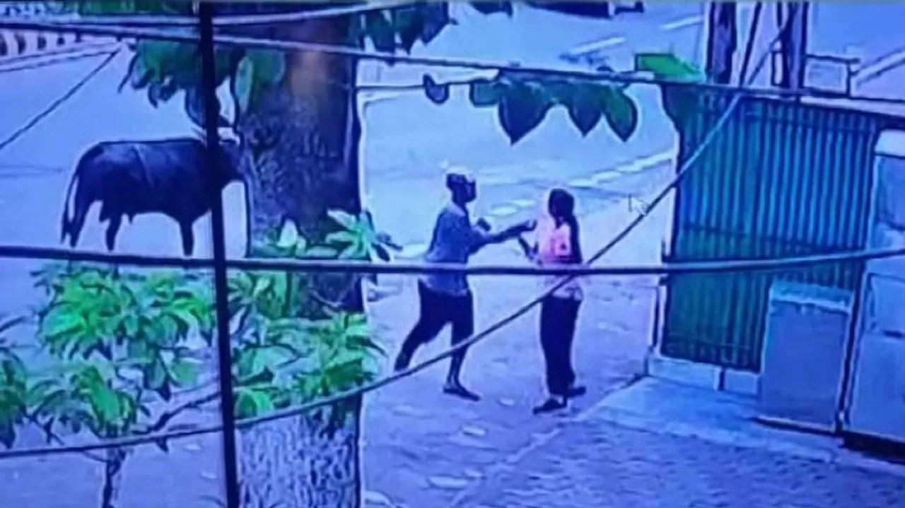 Man Who Attacked Woman With Knife In Bhubaneswar Street Held