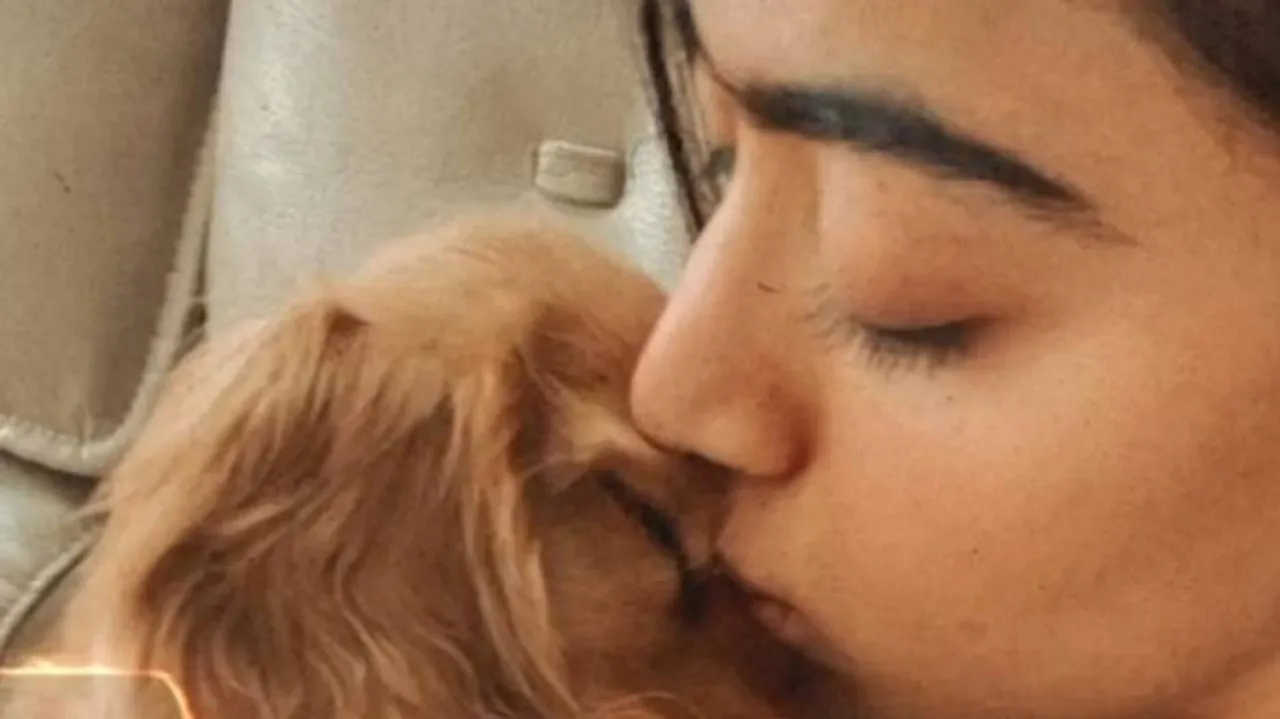 Rashmika Mandanna Is Deeply in Love And These Clicks Are a Proof