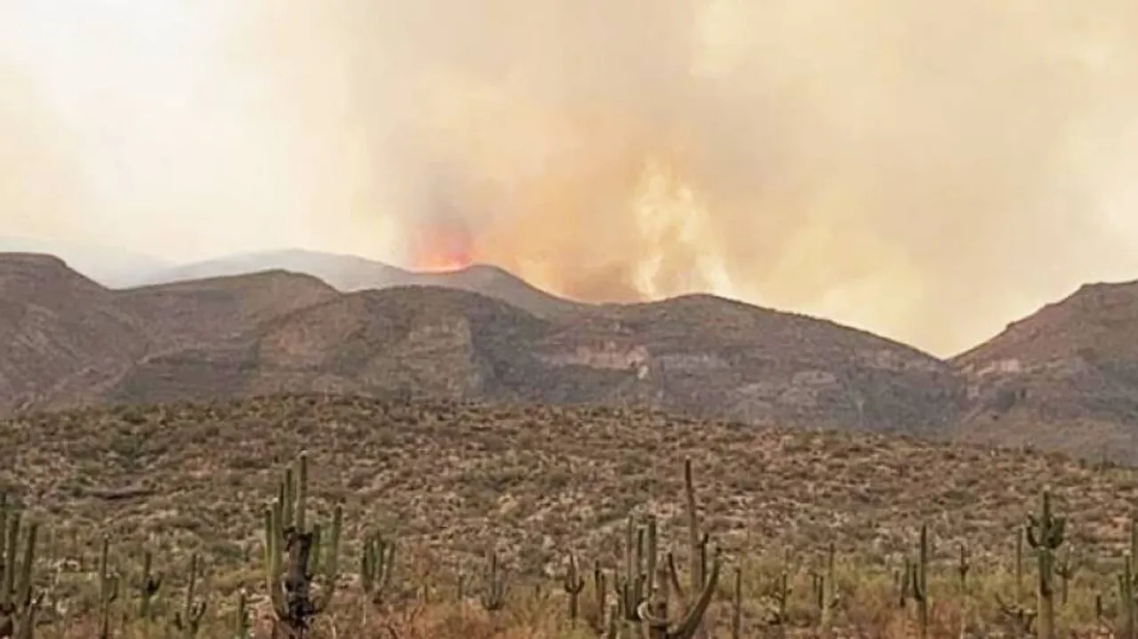 Arizona Wildfire Scorches 148,299 Acres Of Land