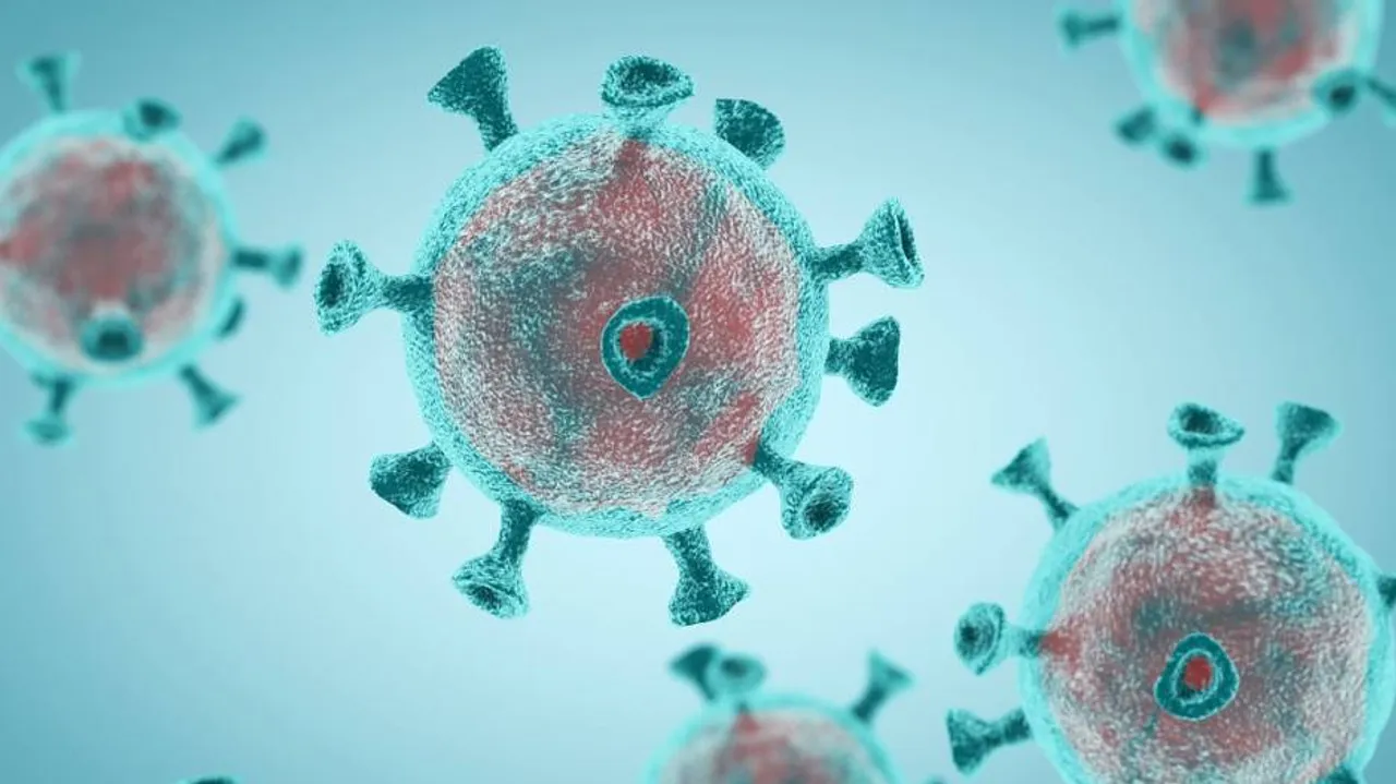 Study Shows Grey Matter Loss Post-Covid Infection