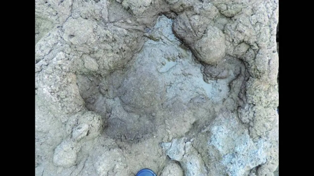 Six Species Of Dinosaur Last Walked On UK Soil 110M Years Ago, Footprints Found